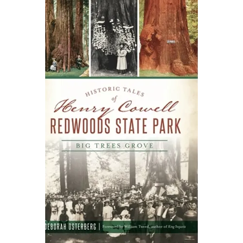 Historic Tales of Henry Cowell Redwoods State Park: Big Trees Grove