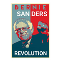 Bernie Sanders Revolution