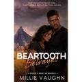 Beartooth Betrayal: A Small-Town Romantic Suspense