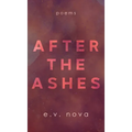 After The Ashes