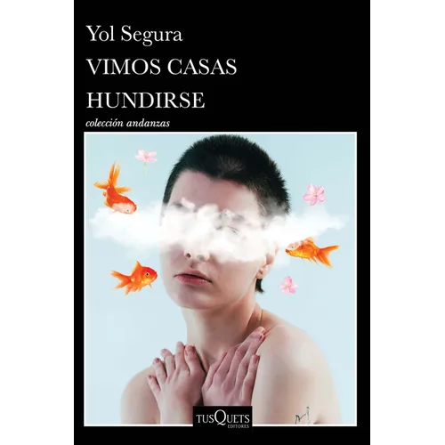 Vimos Casas Hundirse (Novela) / We Watched Houses Sink (a Novel)