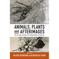 Animals, Plants and Afterimages: The Art and Science of Representing Extinction