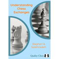 Understanding Chess Exchanges