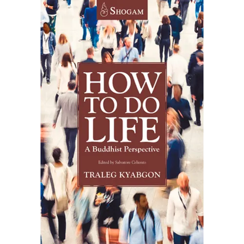 How to Do Life: A Buddhist Perspective
