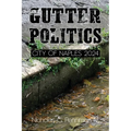 Gutter Politics