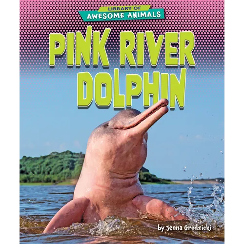 Pink River Dolphin