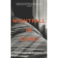 Nightfall in Cairo