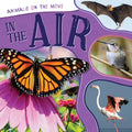 In the Air