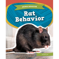 Rat Behavior