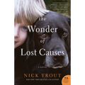 The Wonder of Lost Causes