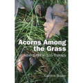 Acorns Among the Grass