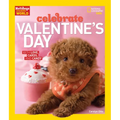 Holidays Around the World: Celebrate Valentine's Day: With Love, Cards, and Candy