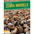 Zebra Mussels