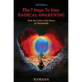 The 7 Steps to Your Radical Awakening: Find the Calm in the Storm of Overwhelm