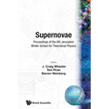 Supernovae-6th Jerusalem Winter Sch for
