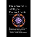 The universe is intelligent. The soul exists.: Quantum mysteries, multiverse, entanglement, synchronicity. Beyond materiality, for a spiritual vision