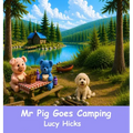 Mr Pig goes Camping