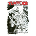 Teenage Mutant Ninja Turtles, Vol. 1: Return to New York--Inked Deluxe Edition