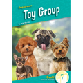 Toy Group