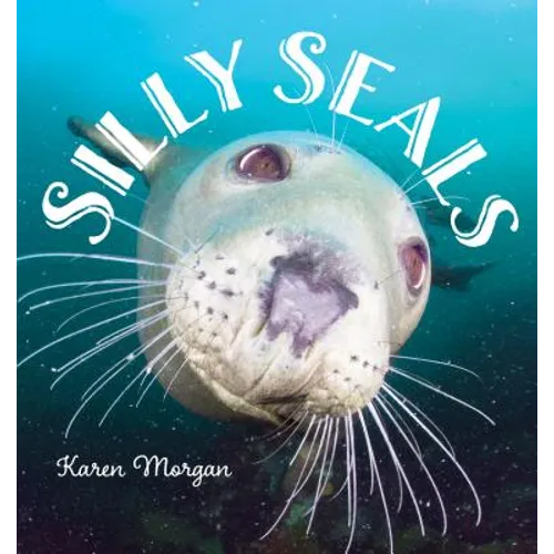 Silly Seals