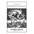 The Princess of Zilzilam