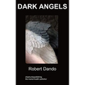 Dark Angels: a story about a mental hospital