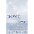 Never Say Never: A small town frienemies to lovers, spicy romance