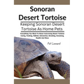 Sonoran Desert Tortoise: Everything You Need To Know Concerning Desert Tortoise Caring, Feeding, Habitat, Interaction, Breeding, Grooming, Heal