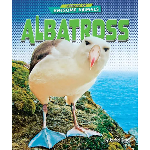 Albatross
