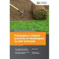 Estrategias y mejores prácticas en despliegues de SAP S/4HANA