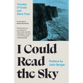 I Could Read the Sky
