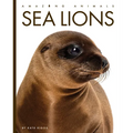 Sea Lions