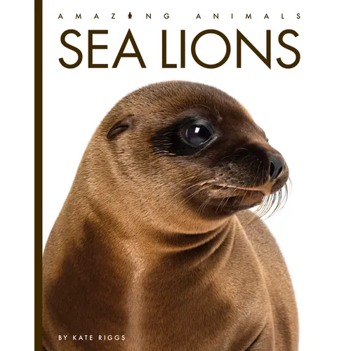Sea Lions