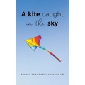 A Kite Caught in the Sky