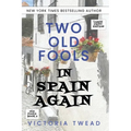 Two Old Fools in Spain Again - LARGE PRINT