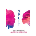 Split: Souls in Transition