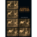 Animal Dreams