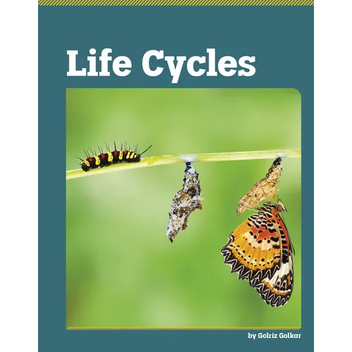 Life Cycles