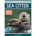 Sea Otter: Amazing Facts About Ocean's Cleverest Mammals for Kids