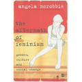 The Aftermath of Feminism: Gender, Culture and Social Change