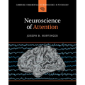 Neuroscience of Attention