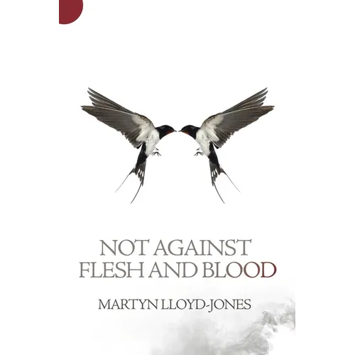Not Against Flesh and Blood: The Battle Against Spiritual Wickedness in High Places