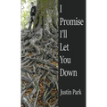 I Promise I'll Let You Down