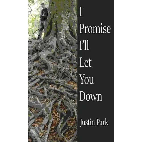 I Promise I'll Let You Down