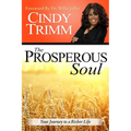 The Prosperous Soul: Your Journey to a Richer Life