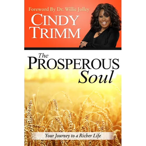 The Prosperous Soul: Your Journey to a Richer Life