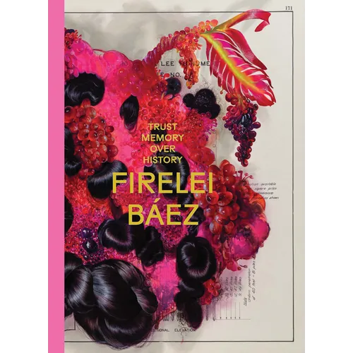 Firelei Báez: Trust Memory Over History