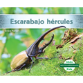 Escarabajo Hércules (Hercules Beetle)