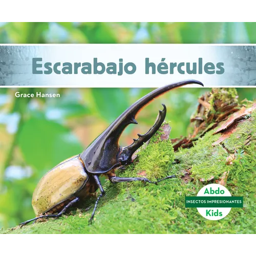Escarabajo Hércules (Hercules Beetle)