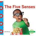 Five Senses